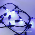 Dimmable Color Changing Hanging Light  string lights outdoor